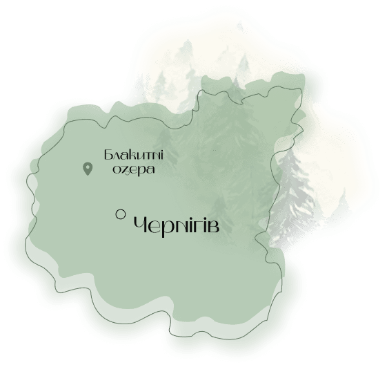 Decorative illustration